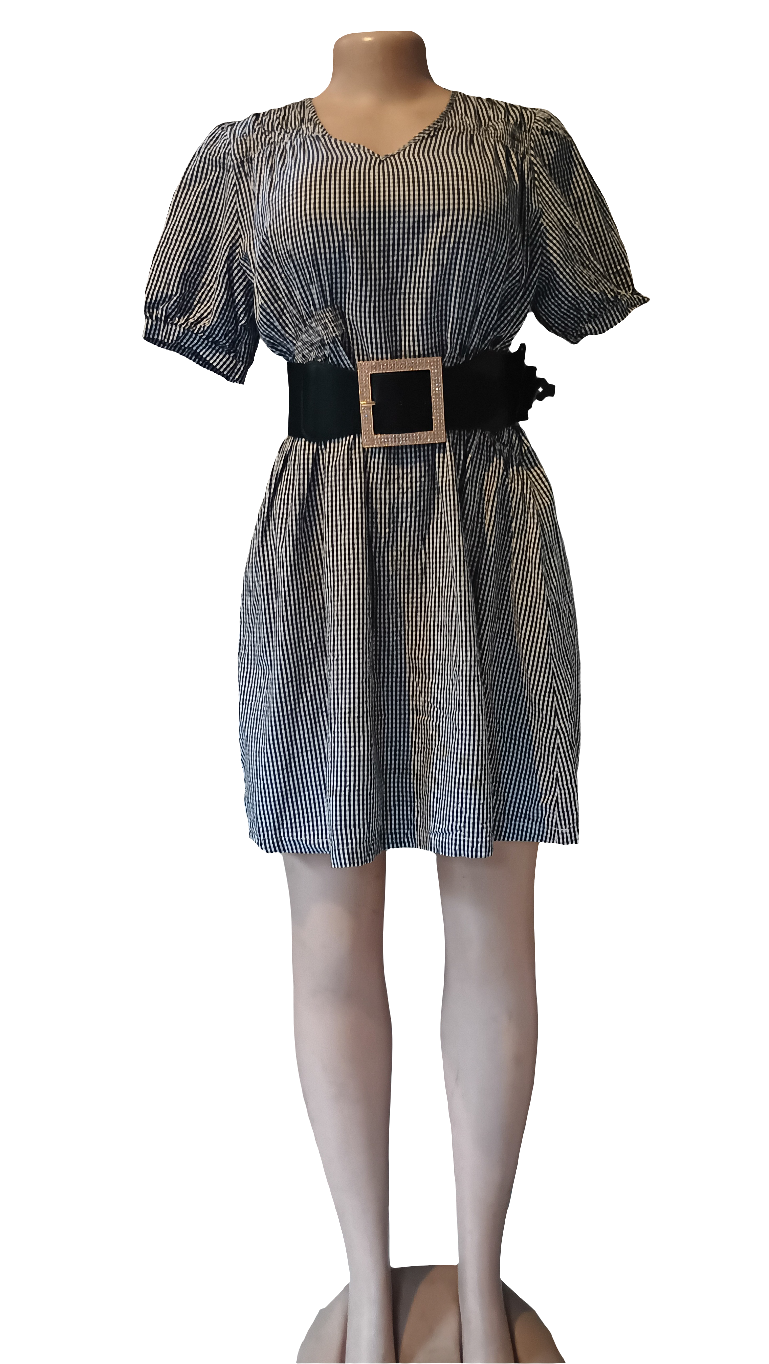 Black & white striped dress