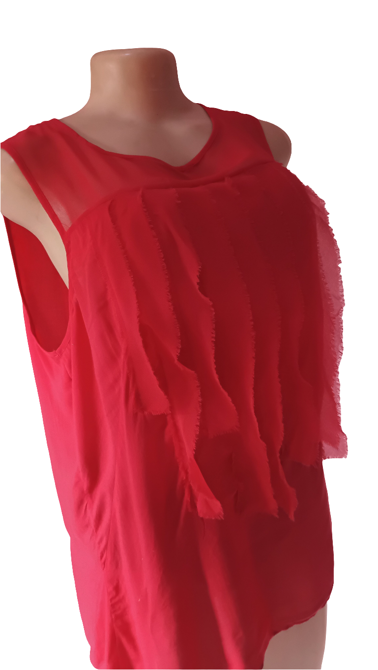 Transparent chevon blouse